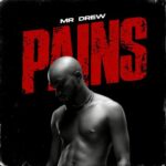 Mr. Drew – Pains Lyrics